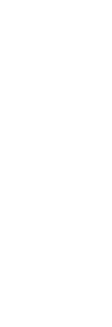 100mm SEG Extrusion profile